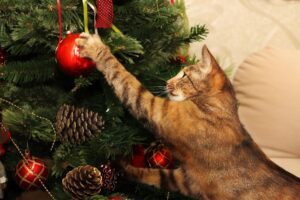 Como proteger e evitar que o gato derrube a árvore de Natal.