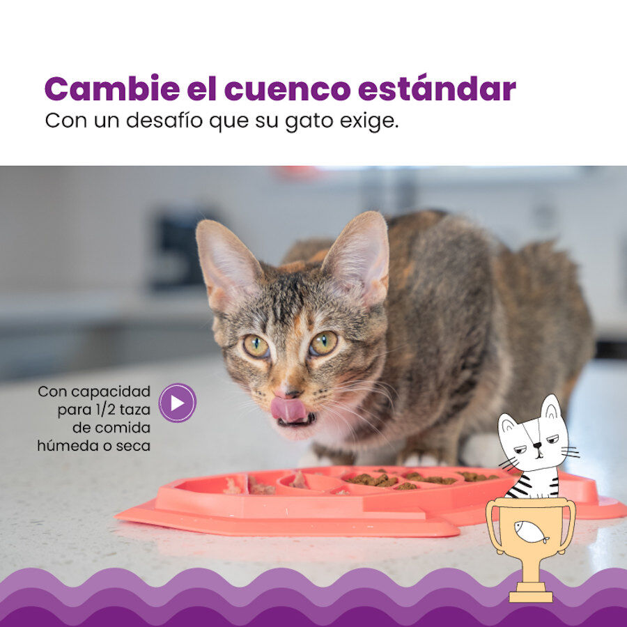 Outward Hound Catstages Fishie Fun Peixe Brinquedo Dispensador de alimentos para gatos, , large image number null