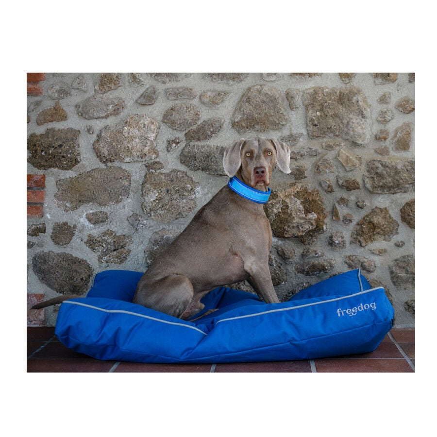 Freedog Cool Pro Tech Coleira Azul para cães, , large image number null