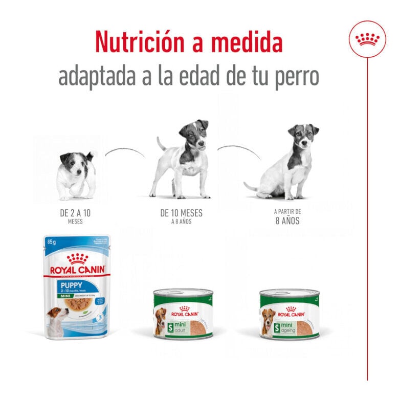 Royal Canin Mini 8+ Ageing lata para cães, , large image number null