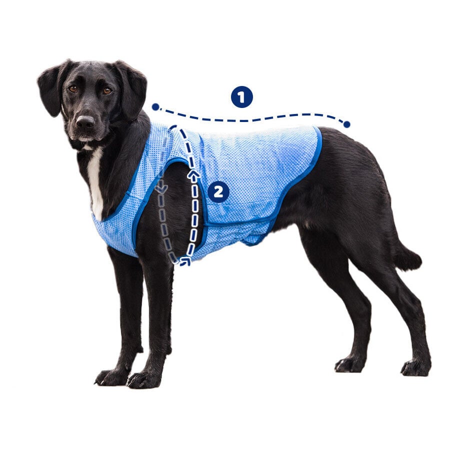 GF Pet ElastoFit Ice Vest Colete Refrescante para cães, , large image number null