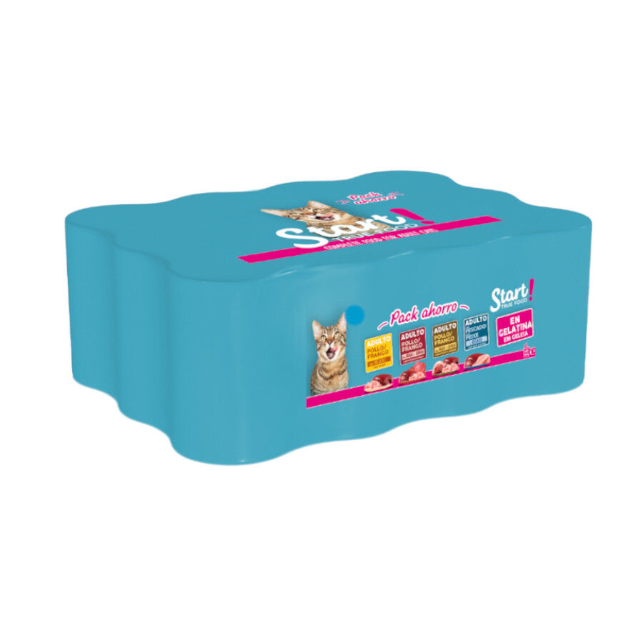 Start Multipack de Carne e Peixe em Gelatina para Gatos