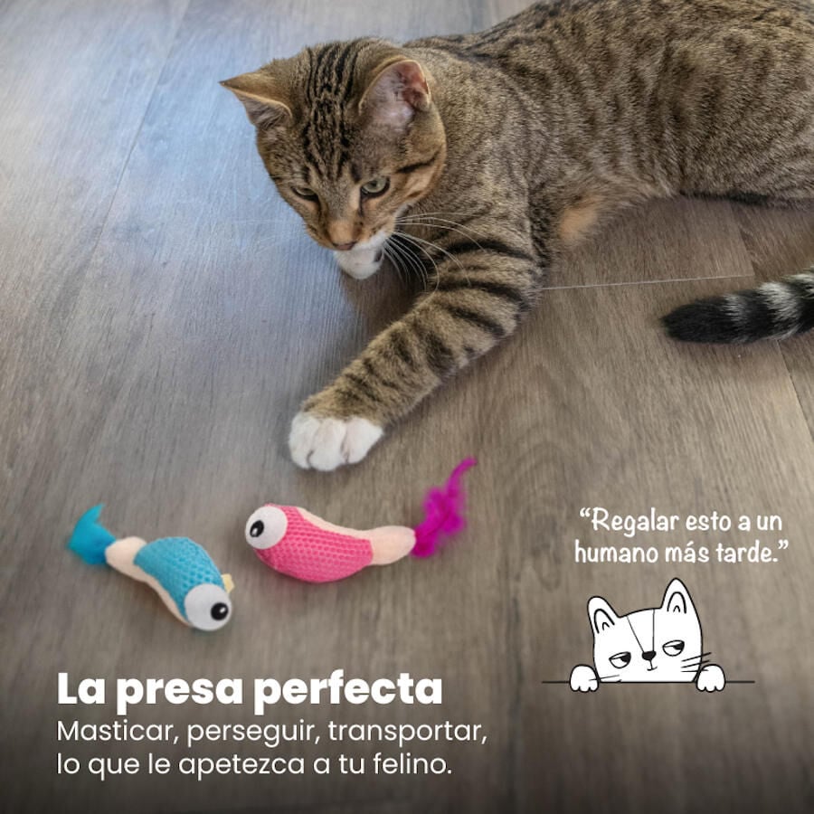 Outward Hound Catstages Dental Shrimpies Peluches com Penas para gatos, , large image number null