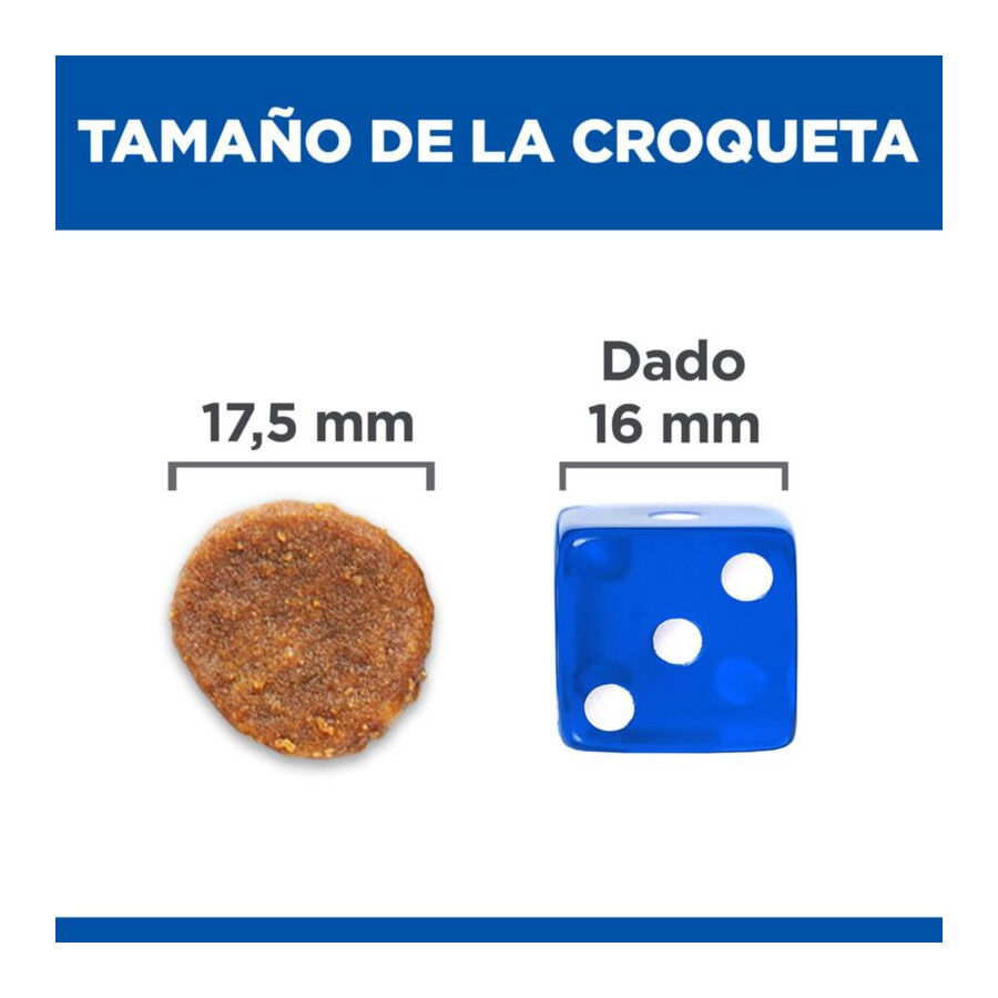 Hill’s Science Plan Hipoalergénico Large Salmão ração para cães, , large image number null
