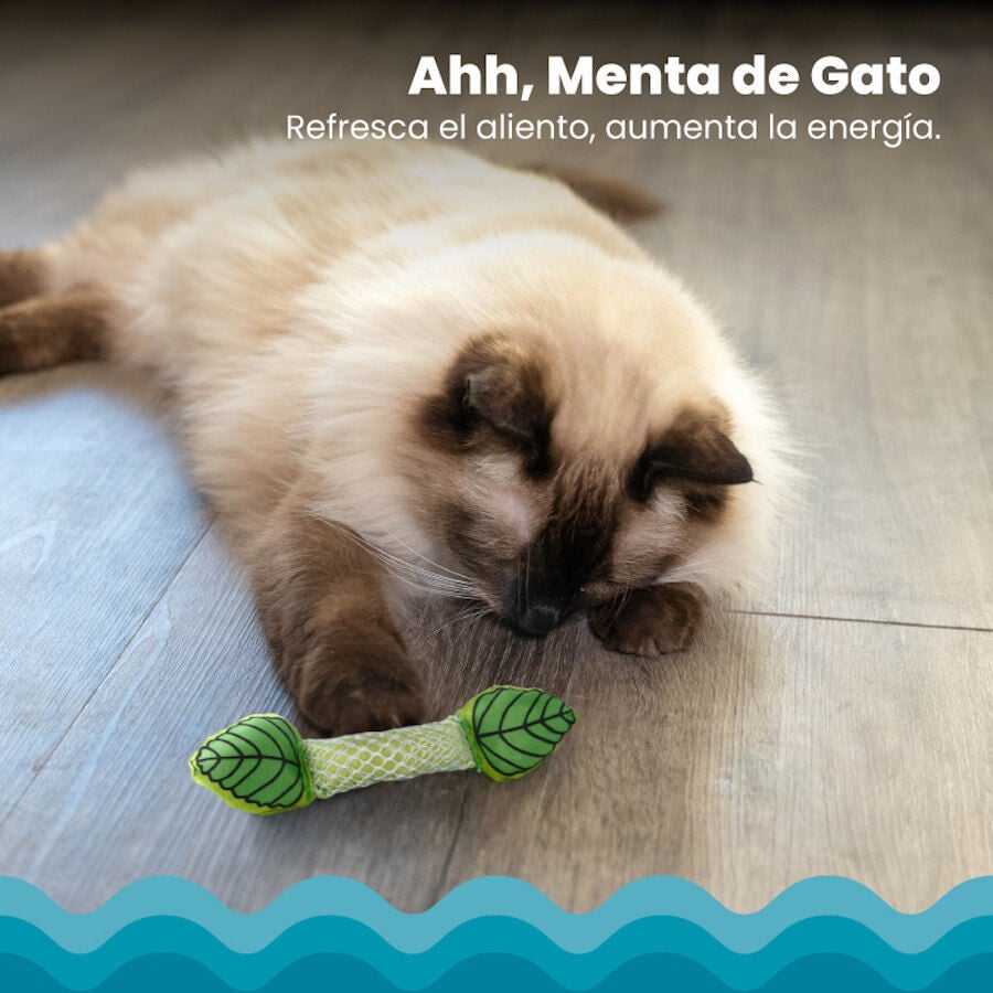 Outward Hound Catstages Fresh Breath Stick Peluche Dentário com Menta para gatos, , large image number null