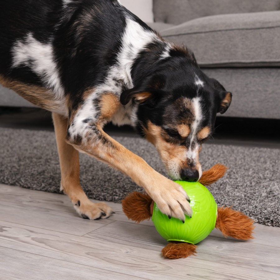 Outward Hound Nina Ottosson Snuffle n’ Treat Bola Interativa Porta-Snacks para cães , , large image number null