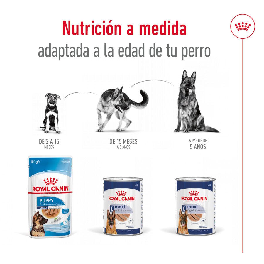 Royal Canin Maxi Ageing 5+ Patê em lata para cães, , large image number null