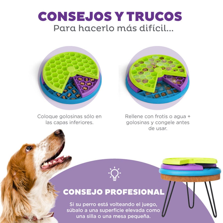 Outward Hound Nina Ottosson Lickin' Layers Brinquedo interativo com snacks para cães , , large image number null