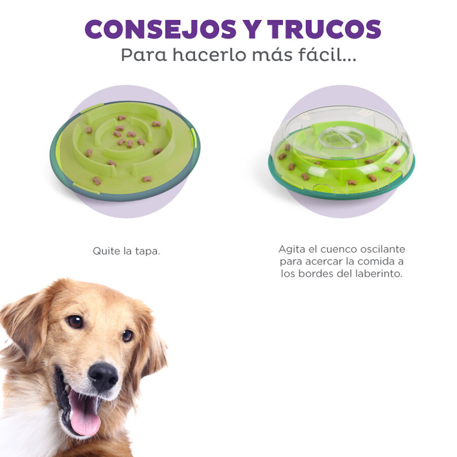 Outward Hound Nina Ottosson Wobble Bowl Brinquedo interativo com dispensador de snacks para cães, , large image number null