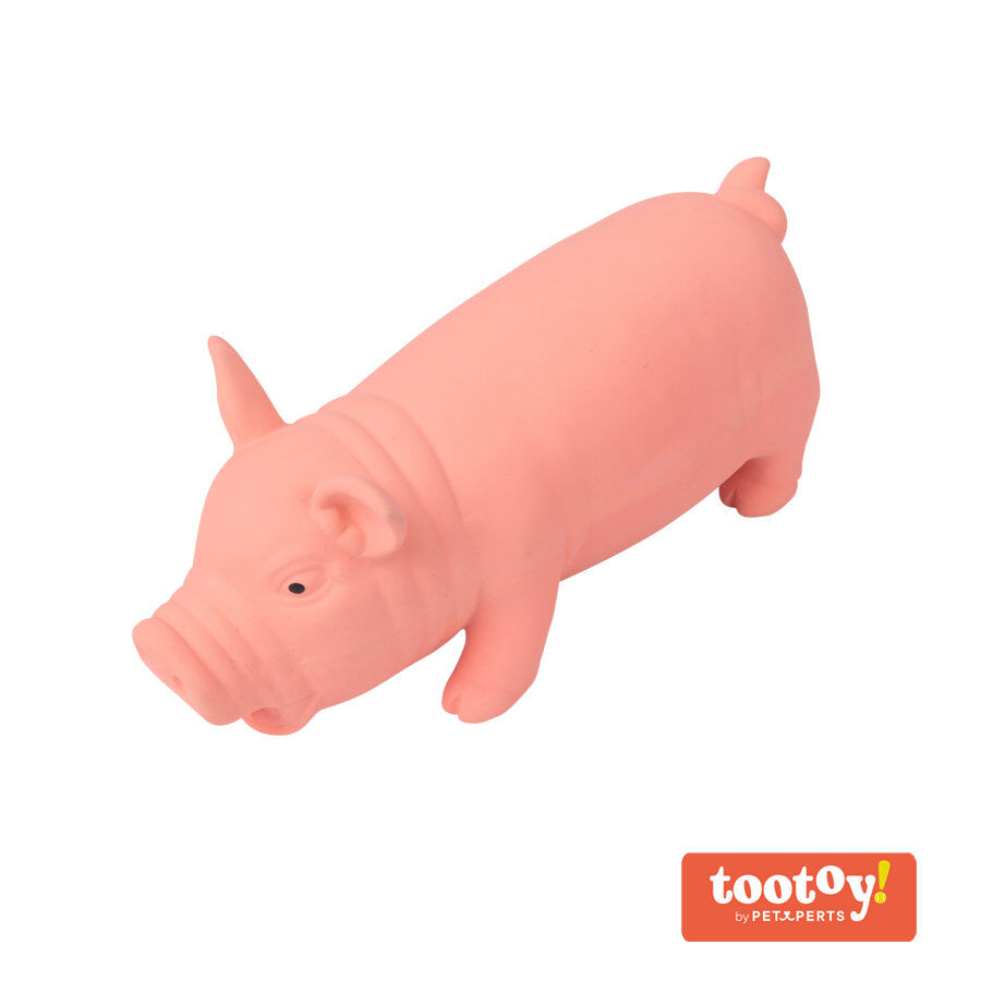 Tootoy! Chew Grunting Pig Mordedor para cães