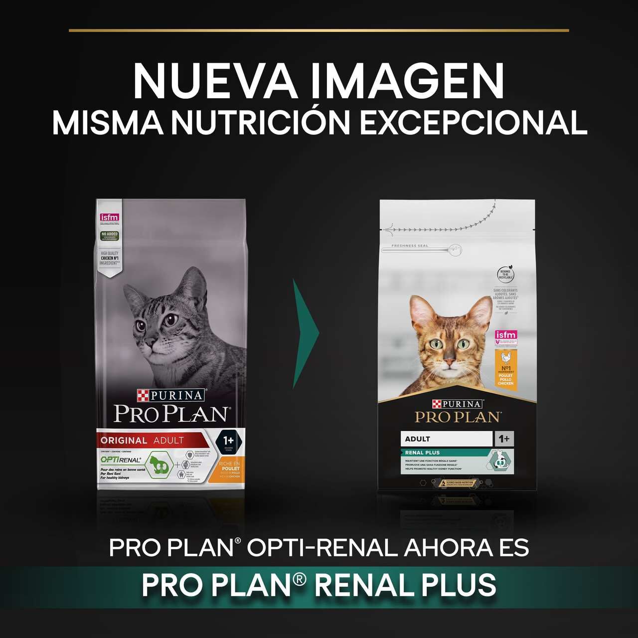 Pro Plan Adult Renal Plus Frango ração para gatos, , large image number null