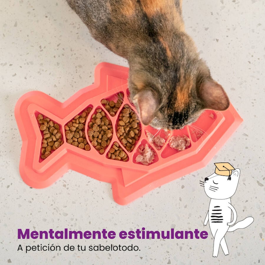 Outward Hound Catstages Fishie Fun Peixe Brinquedo Dispensador de alimentos para gatos, , large image number null