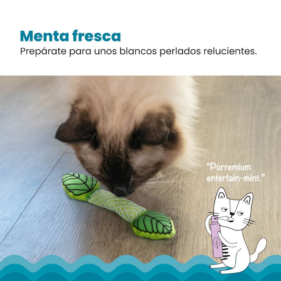 Outward Hound Catstages Fresh Breath Stick Peluche Dentário com Menta para gatos, , large image number null