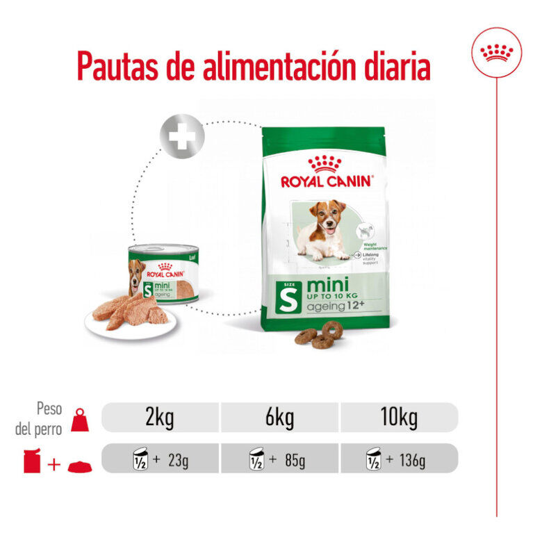 Royal Canin Mini 8+ Ageing lata para cães, , large image number null