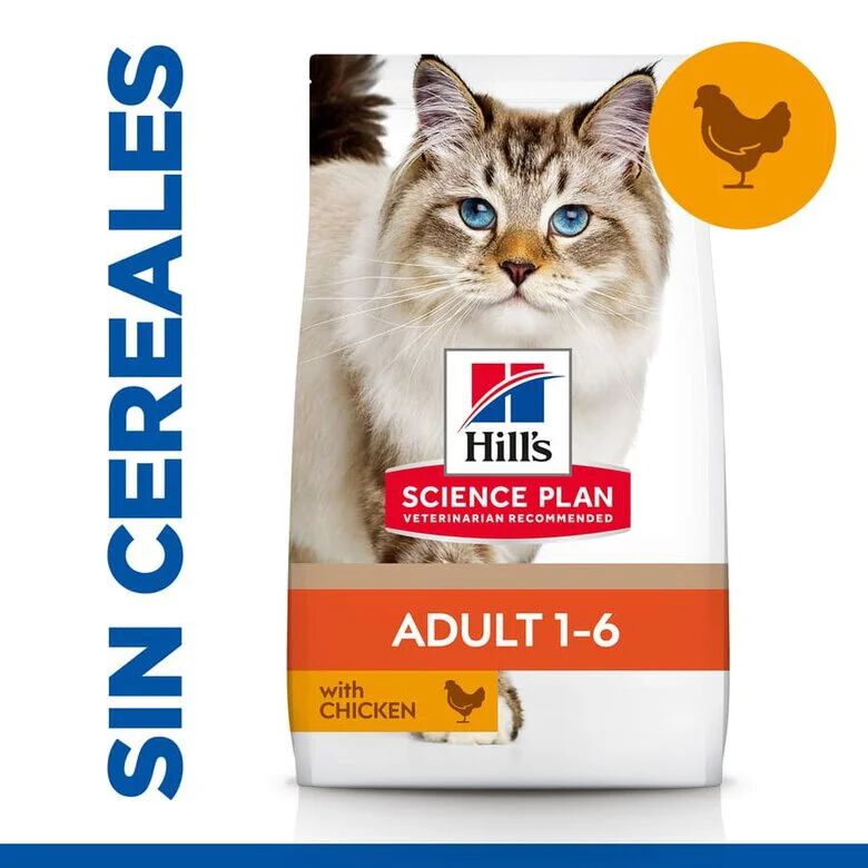 Hill’s Science Plan Adult Frango ração para gatos