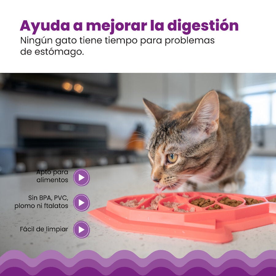 Outward Hound Catstages Fishie Fun Peixe Brinquedo Dispensador de alimentos para gatos, , large image number null