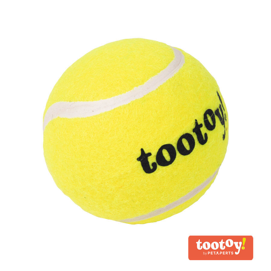 Tootoy! Chase Squeaker Ball bola de ténis para cães