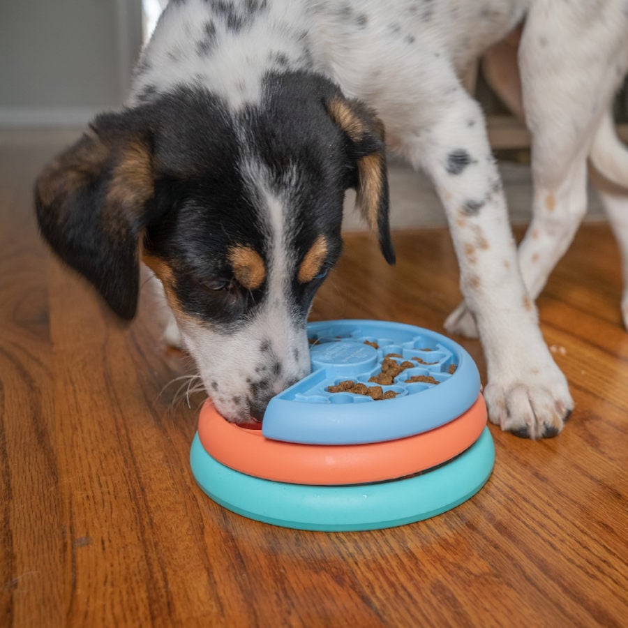 Outward Hound Nina Ottosson Puppy Lickin' Layers Brinquedo interativo com Snacks para cachorros , , large image number null