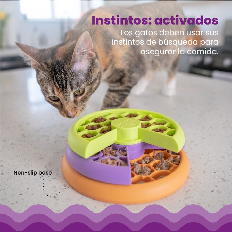 Outward Hound Catstages Nina Ottosson Kitty Lickin’ Layers Comedouro Interativo para gatos, , large image number null