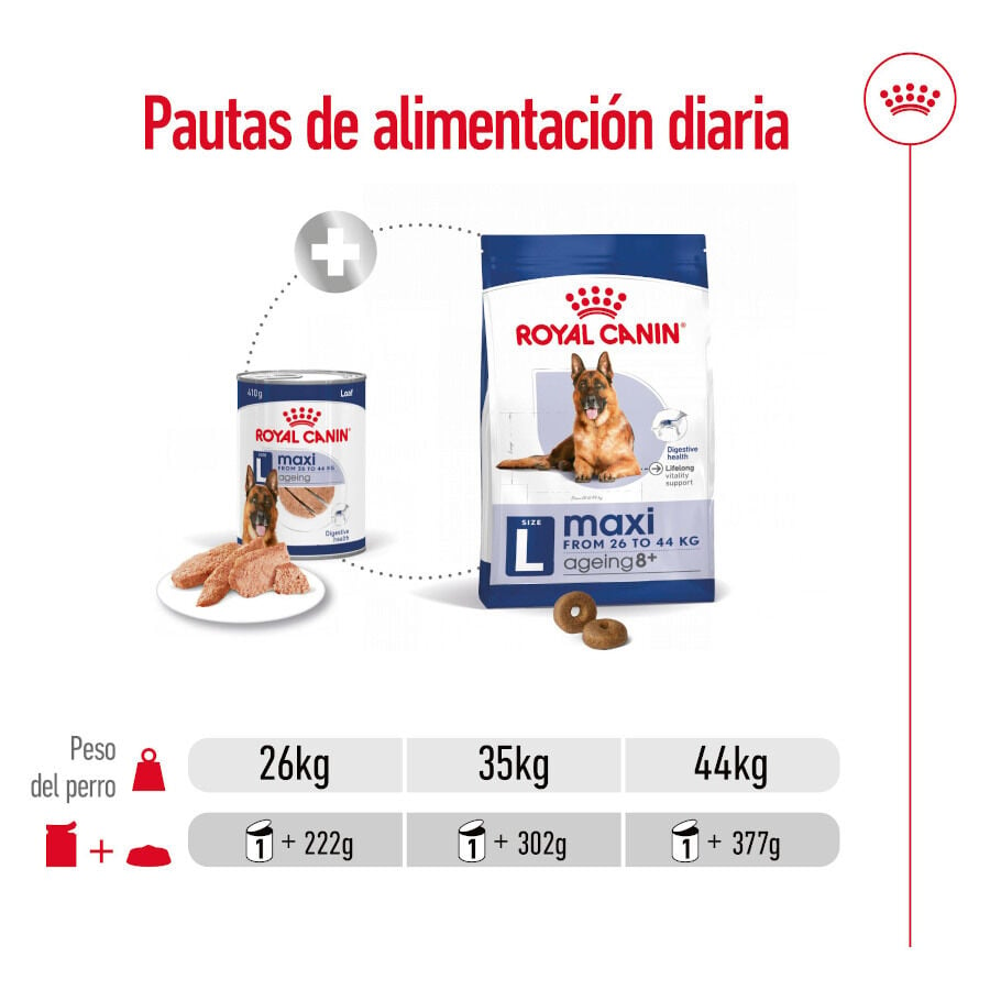 Royal Canin Maxi Ageing 5+ Patê em lata para cães, , large image number null