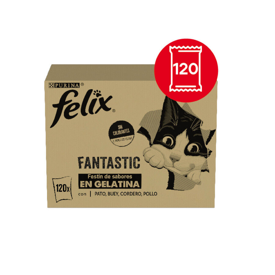 Felix Fantastic Seleções Favoritas de Carnes em Gelatina saquetas para gatos – Multipack 120