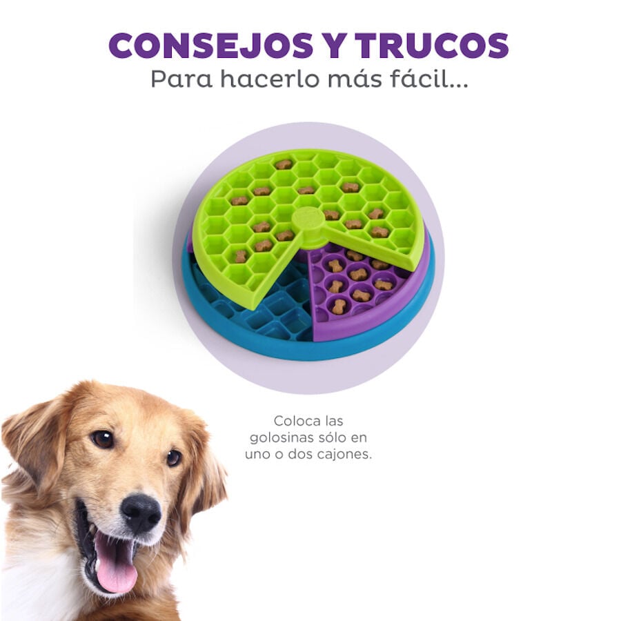 Outward Hound Nina Ottosson Lickin' Layers Brinquedo interativo com snacks para cães , , large image number null