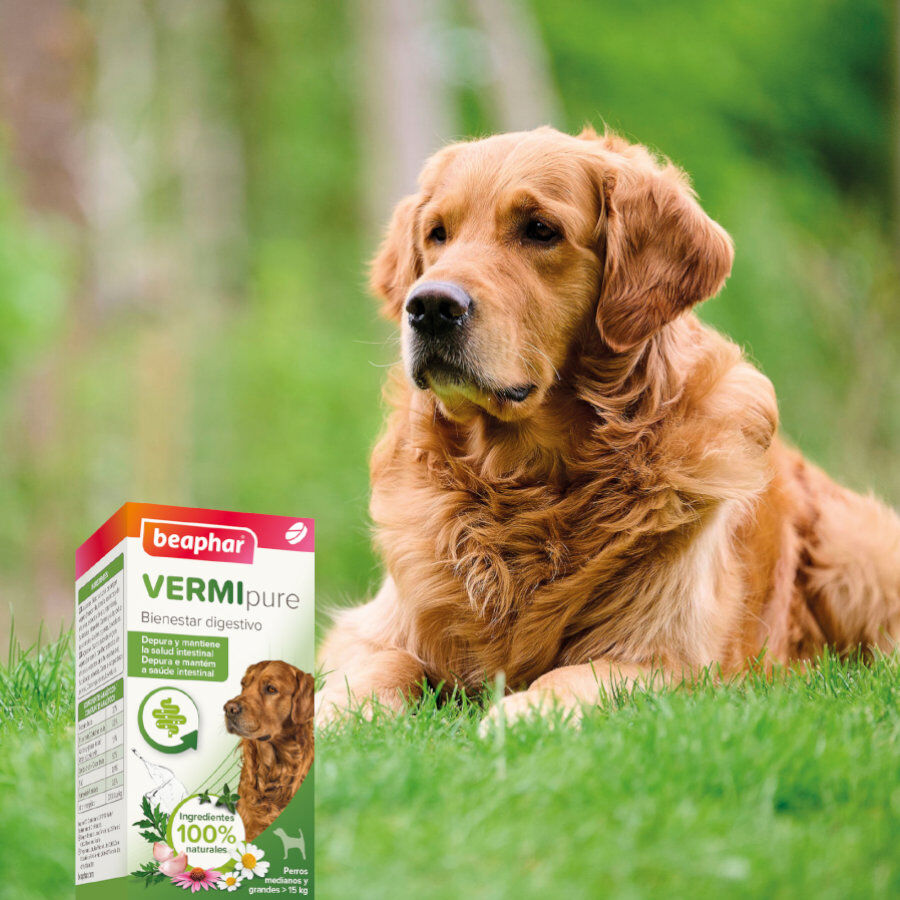 Beaphar Vermipure Repelente Interno Natural em comprimidos para cães de porte médio e grande, , large image number null