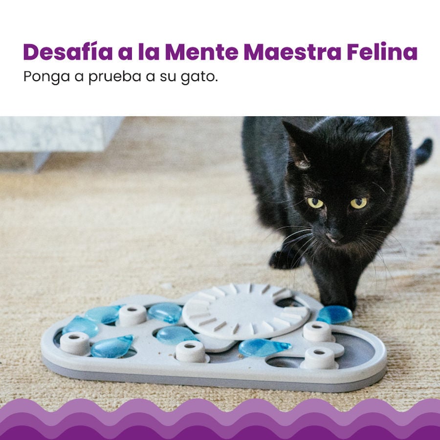 Outward Hound Catstages Puzzle & Play Rainy Day Brinquedo de Inteligência para gatos , , large image number null