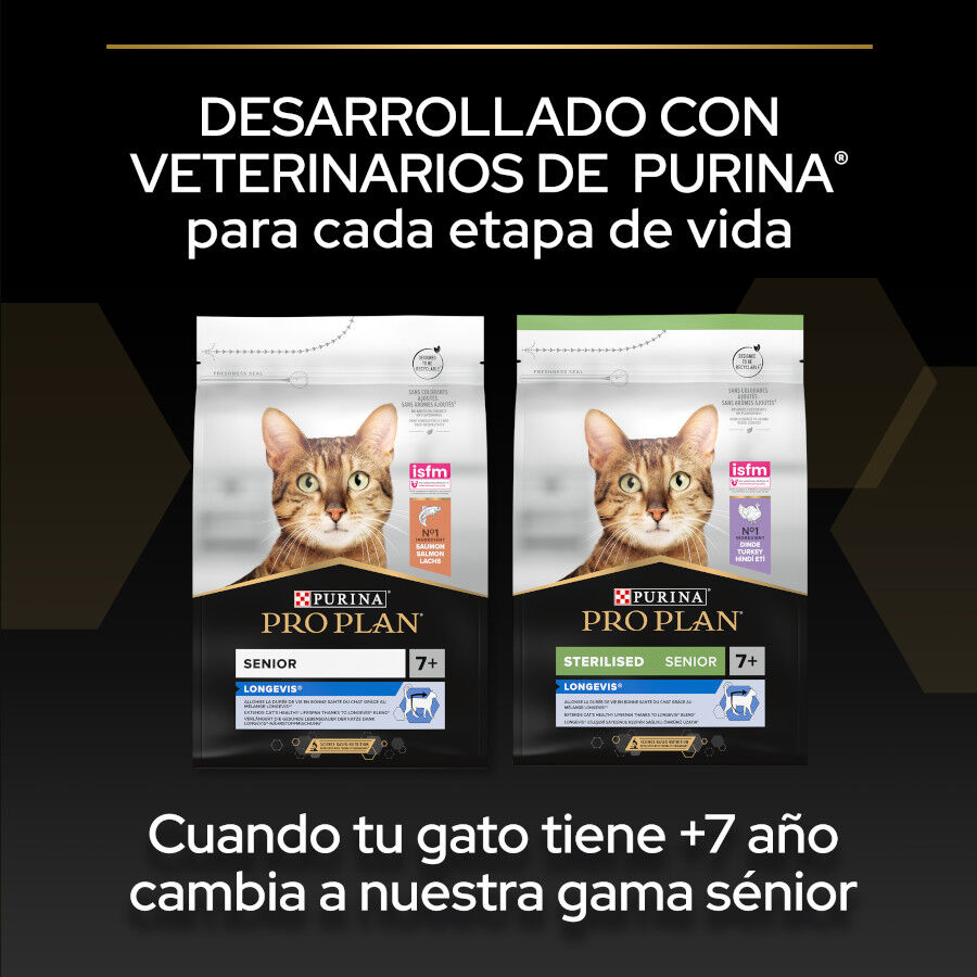 Pro Plan Adult OptiDerma Salmão ração para gatos, , large image number null