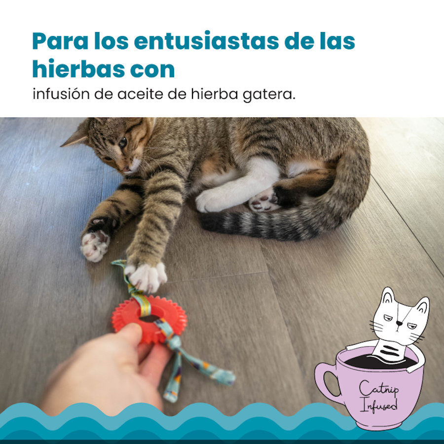 Outward Hound Catstages Kitty Chew Vermelha Brinquedo Roda Mordedora para gatos, , large image number null