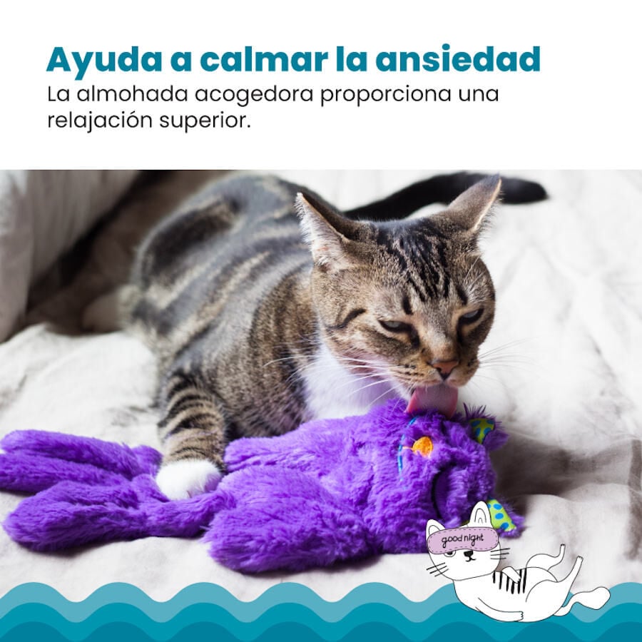 Outward Hound Catstages Purr Pillow Kitty Peluche Relaxante para gatos, , large image number null