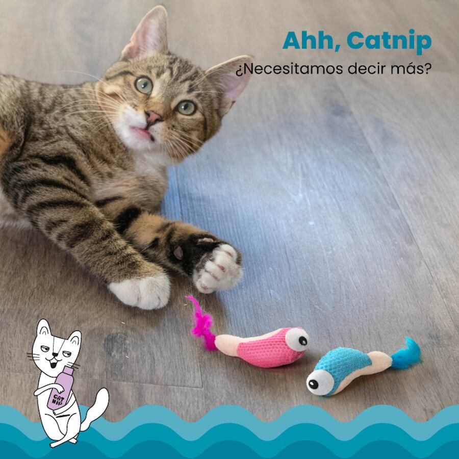 Outward Hound Catstages Dental Shrimpies Peluches com Penas para gatos, , large image number null