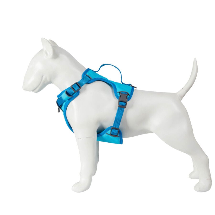 Freedog Cool Pro Tech Peitoral Azul para cães, , large image number null