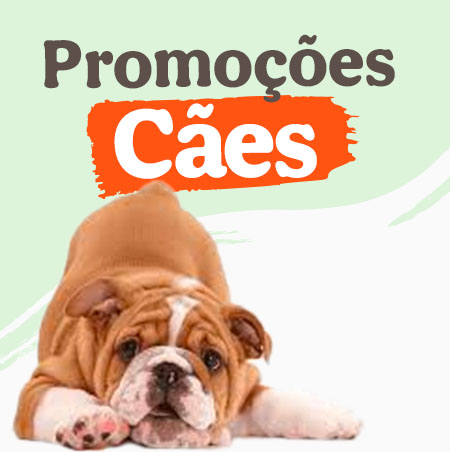 Promoçoes cães