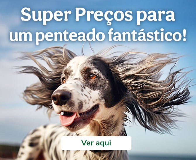 Super Preços para um penteado fantástico!