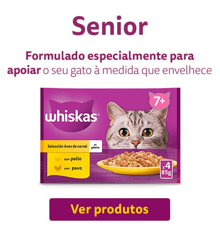 Produtos para gato senior