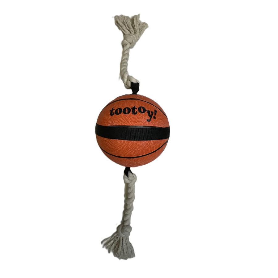 Tootoy! Chase Large Basketball bola para cães