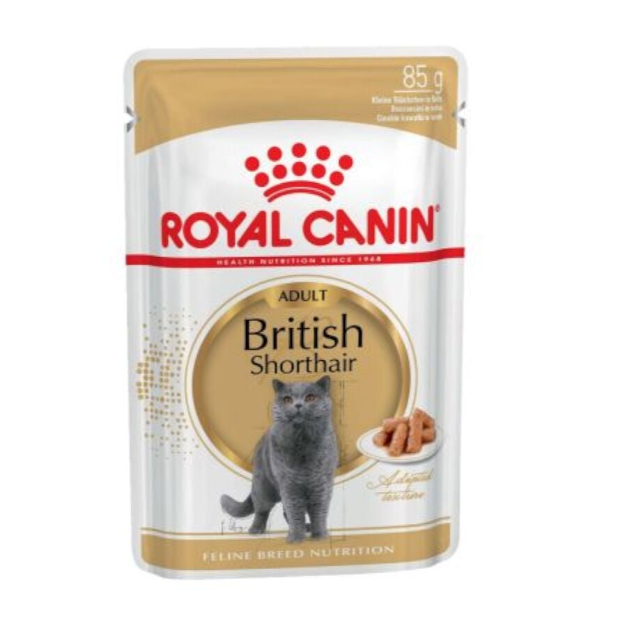 12 saquetas x 85 g Royal Canin comida húmida British Shorthair Adult Pack poupança!