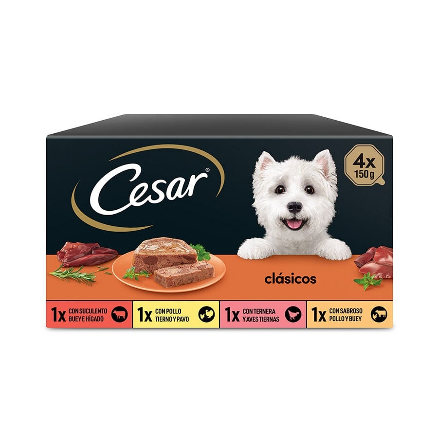 12 terrinas x 150 g Cesar Seleção Clássicos Terrina em Patê para Cães - Multipack Pack poupança!