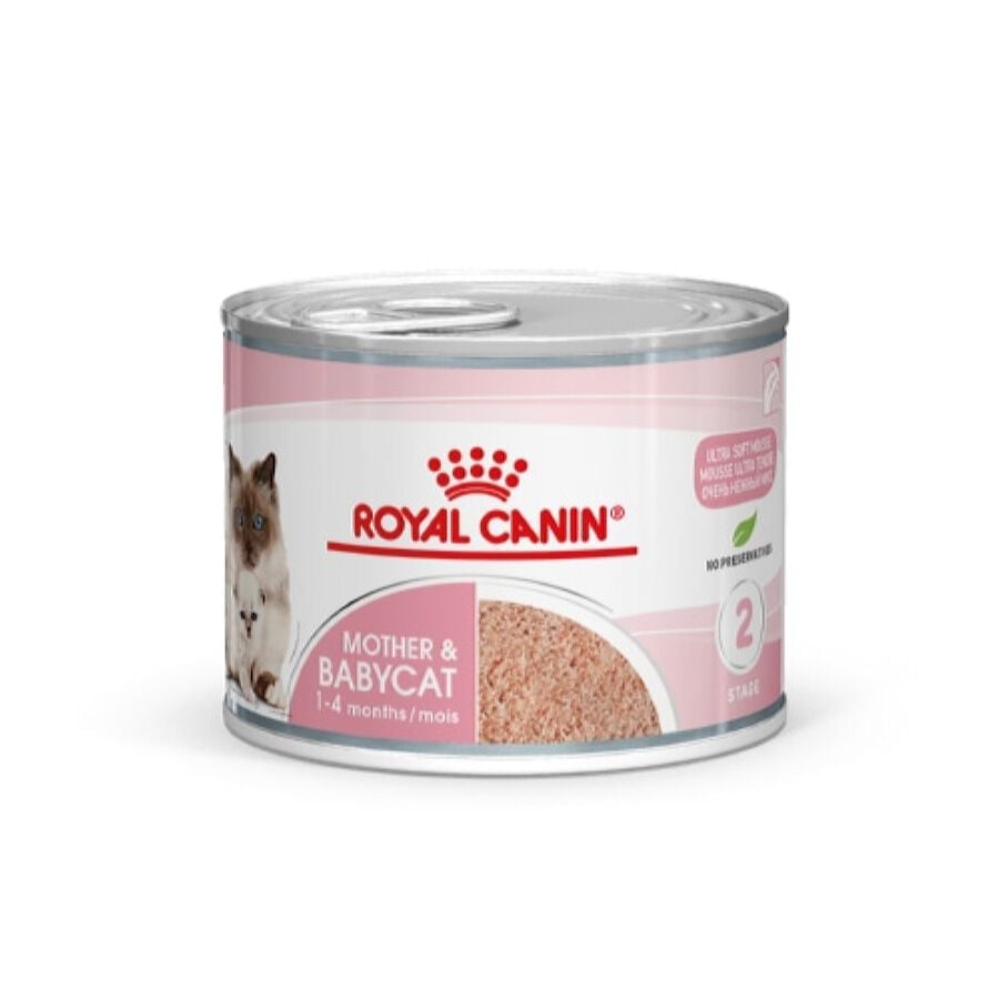 12 latas x 195 g Royal Canin Mother Baby mousse latas para gatos Pack poupança!