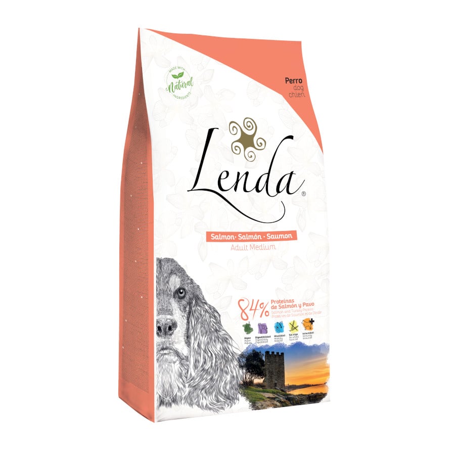 Lenda Original Salmão ração para cães