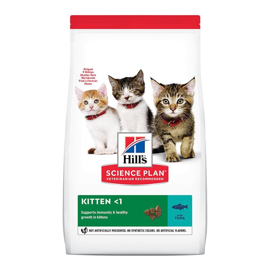 1.5 kg Hill's Kitten Science Plan Atum ração