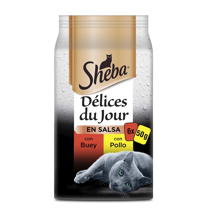 6 saquetas x 50 g Sheba Délices du Jour Carnes Molho em Saqueta para Gatos - Multipack