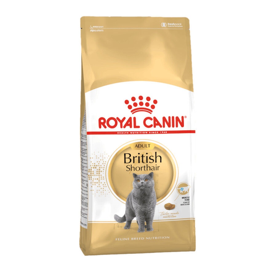 10 kg Royal Canin Adult British Shorthair ração para gatos