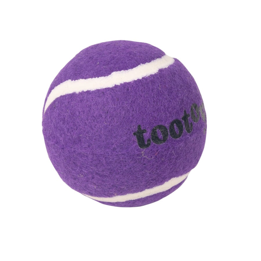 Tootoy! Chase Squeaker Ball Roxa bola de ténis para cães