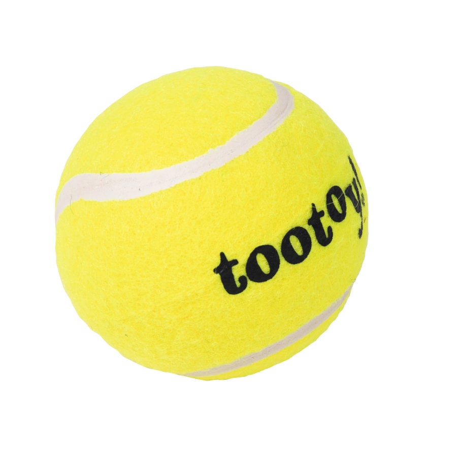 Tootoy! Chase Squeaker Ball bola de ténis para cães