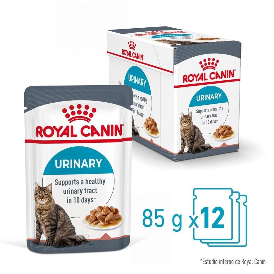 12 saquetas x 85 g Royal Canin Urinary Care Adult Saqueta em molho para gatos Pack poupança!