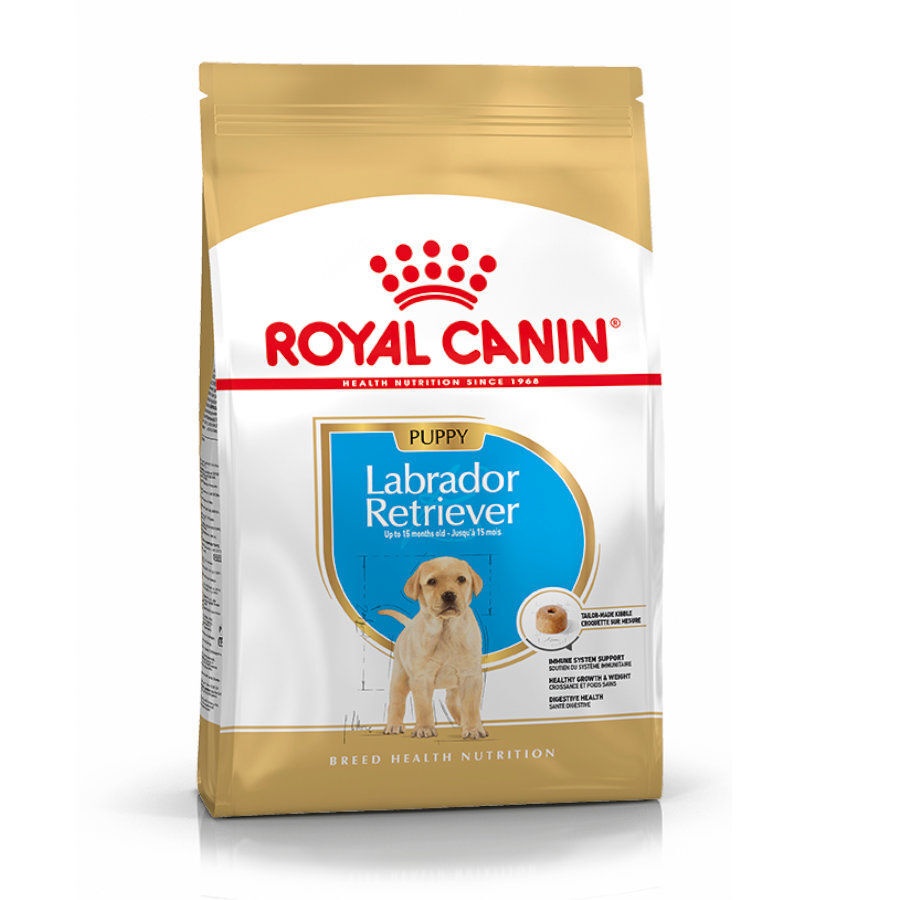 3 kg Royal Canin Puppy Labrador Retriever ração para cães