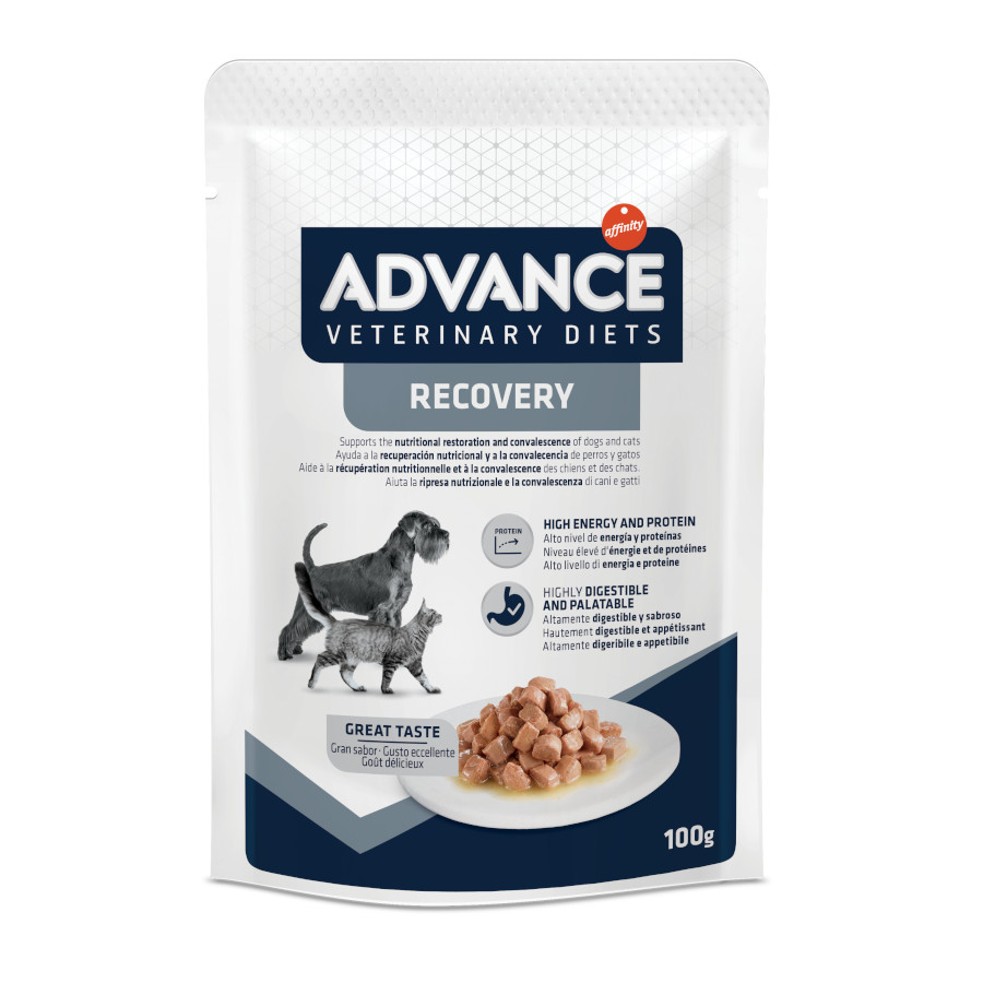 advance-recovery-saquetas-para-c-es-e-gatos