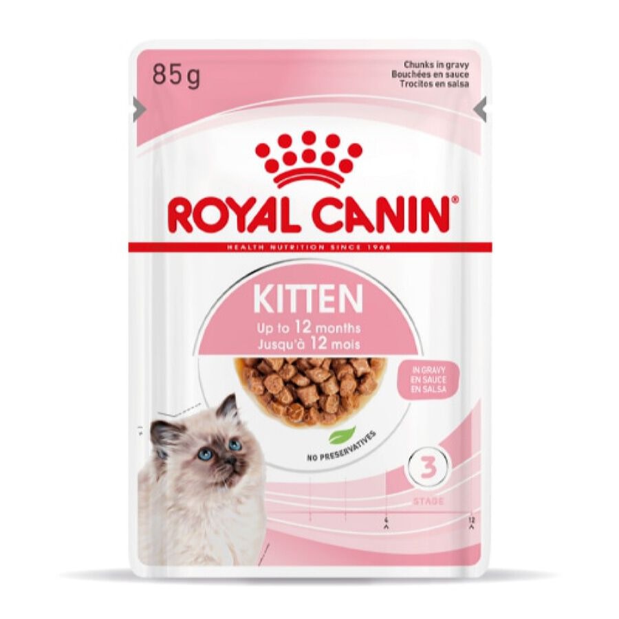 24 saquetas x 85 g Royal Canin Kitten Alimento Húmido para gatinhos Pack poupança!